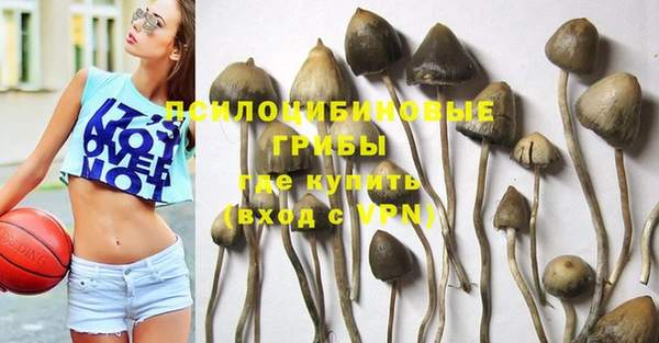 mdpv Магадан