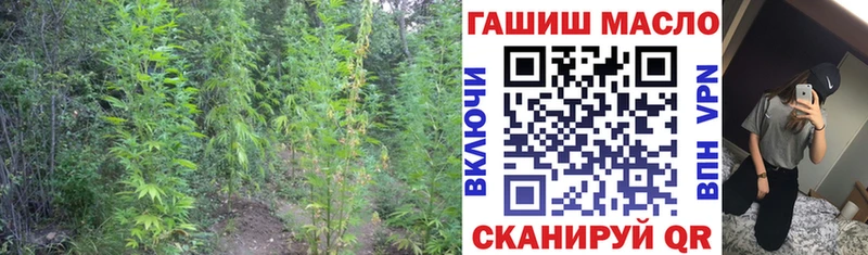 нарко площадка Telegram  купить наркотик  OMG как зайти  Томмот  ТГК THC oil 